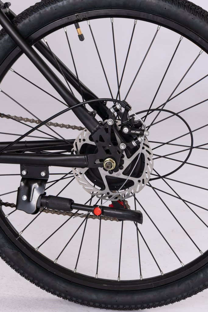 MT 2 Mountain ebike