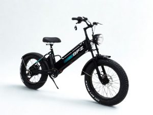 Fat tire Storm steed X6