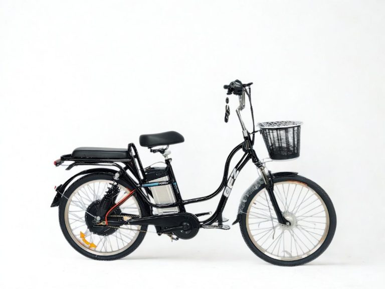 Cruiser CX1