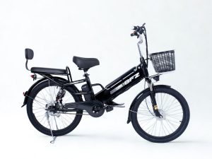 Single battery BT1