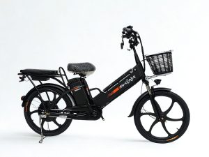 Two battery D1