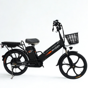 Two battery D1