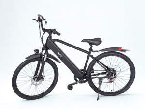 MT 2 Mountain ebike